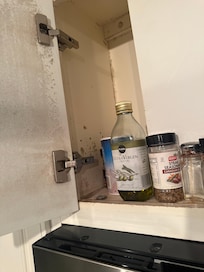Black mold