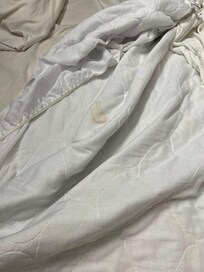 Mattress pad cover stained with what it looks like blood.
