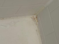 Dried urine in shower.