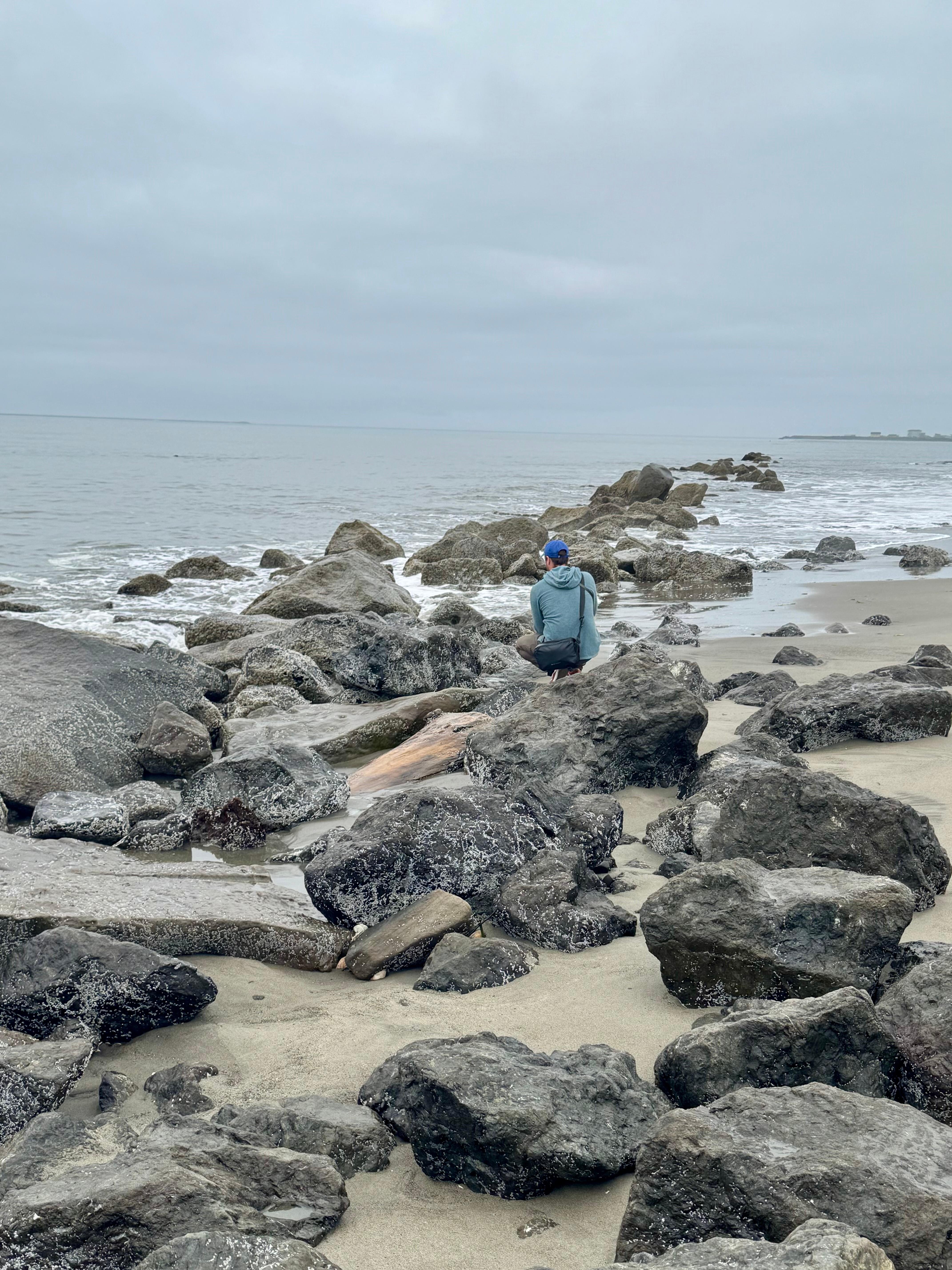 The tide was way out and looking at all the sea creatures clinging to the rocks was amazing. 