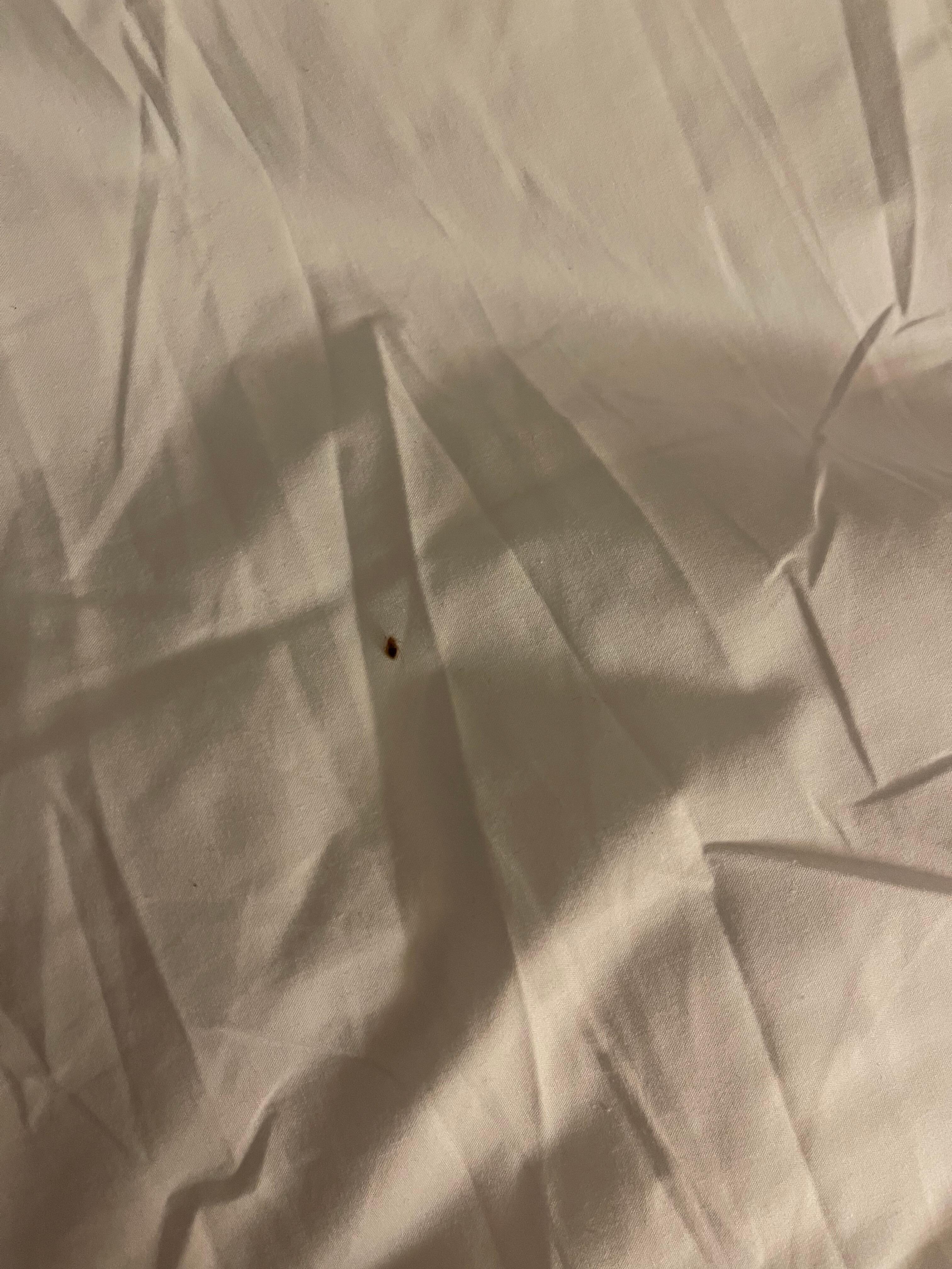 Bed Bugs
Kicked us of the Room and no refund.