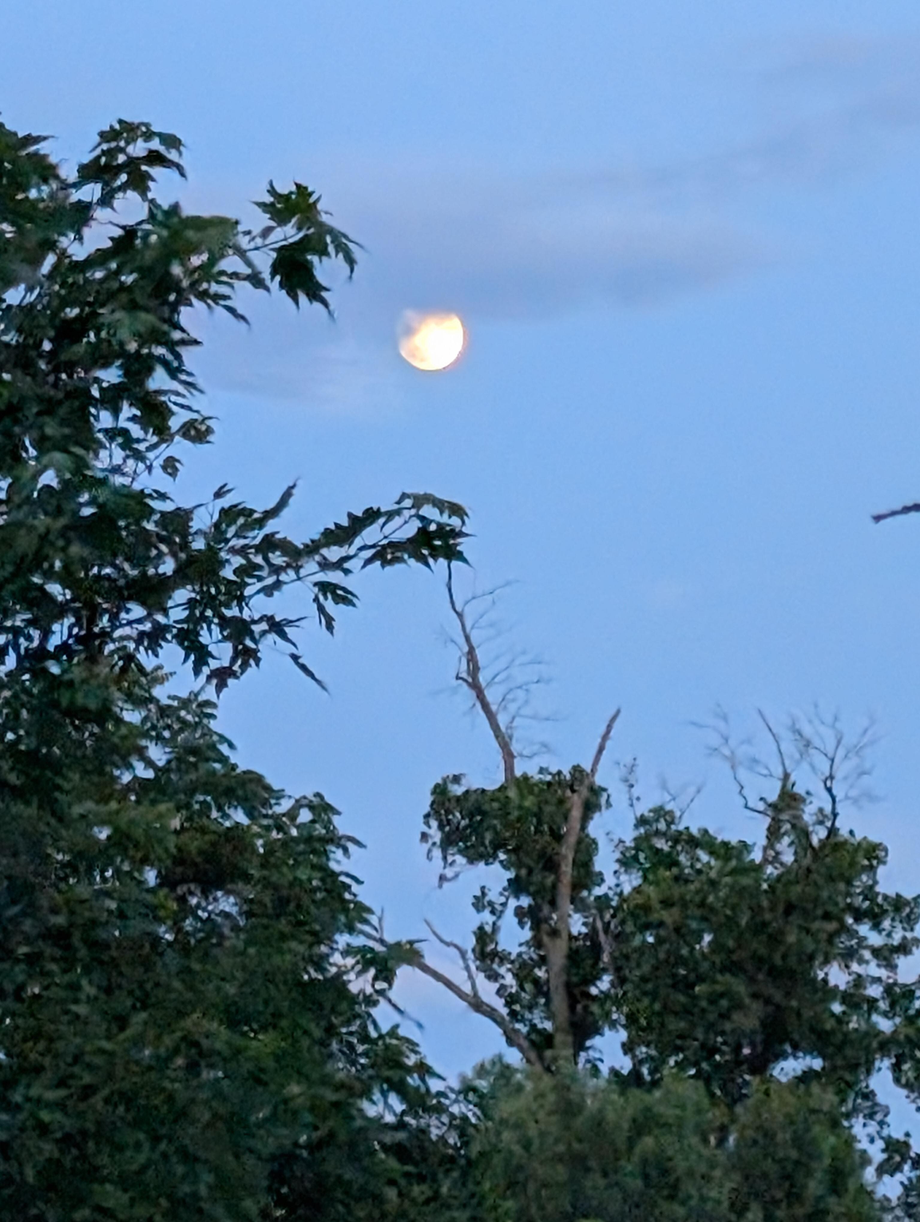 full moon on the back porch area (small bistro table with 2 chairs)
