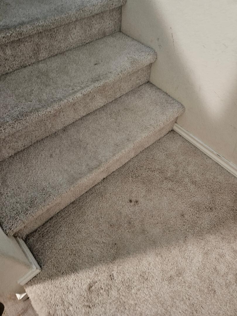 Filthy carpet