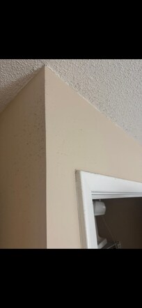 Dust on walls