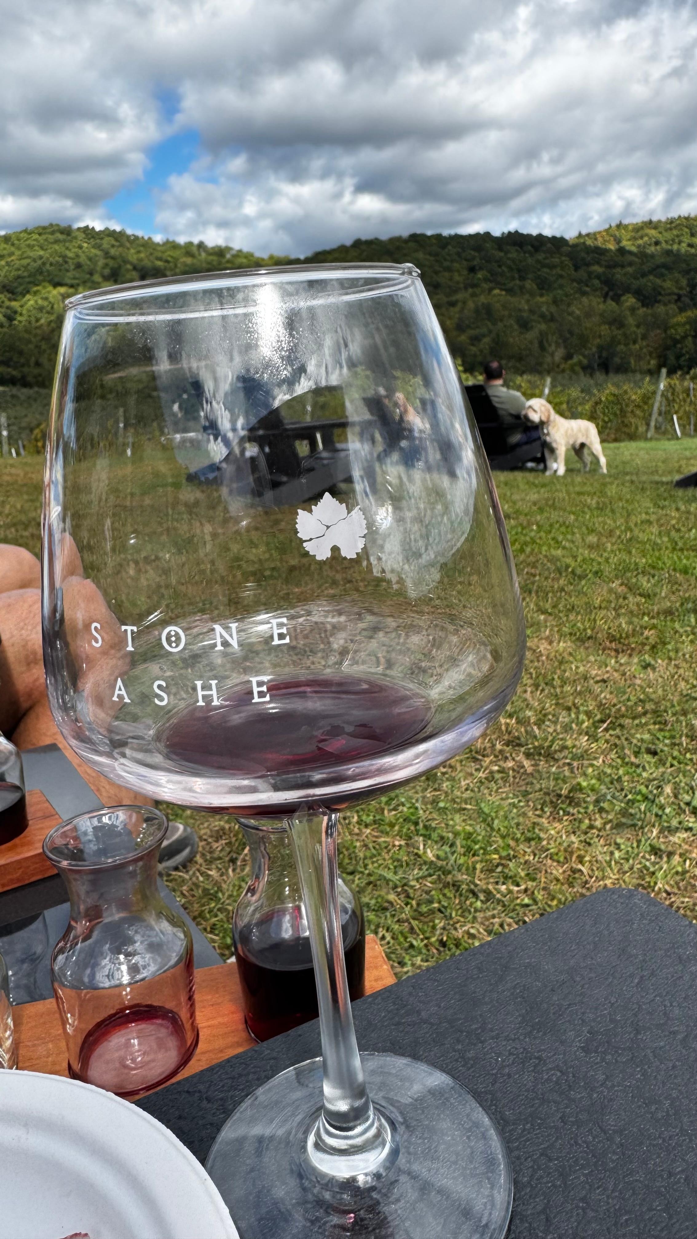 Beautiful vineyard about 30 min drive