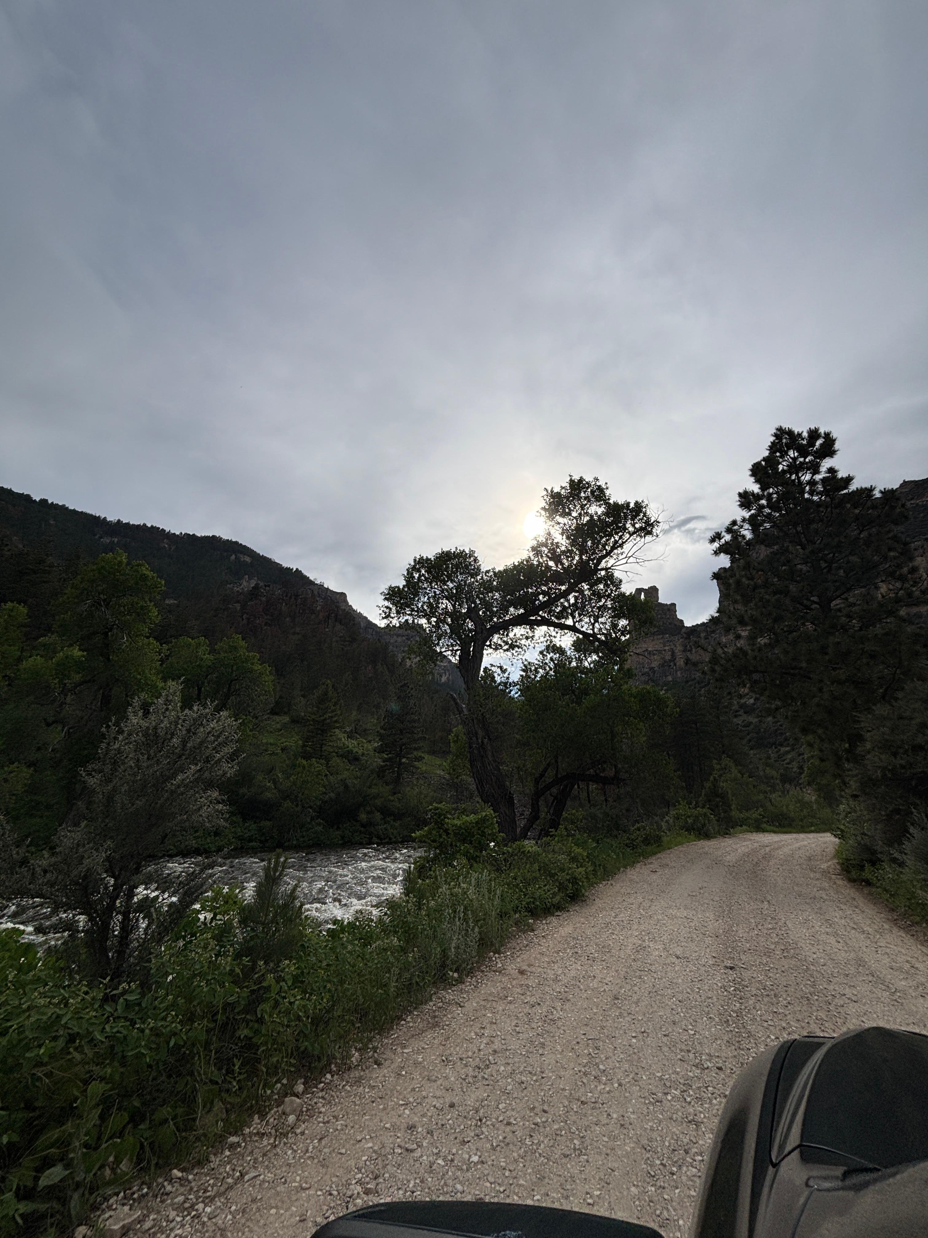 This is what the drive looks like going to your cabin