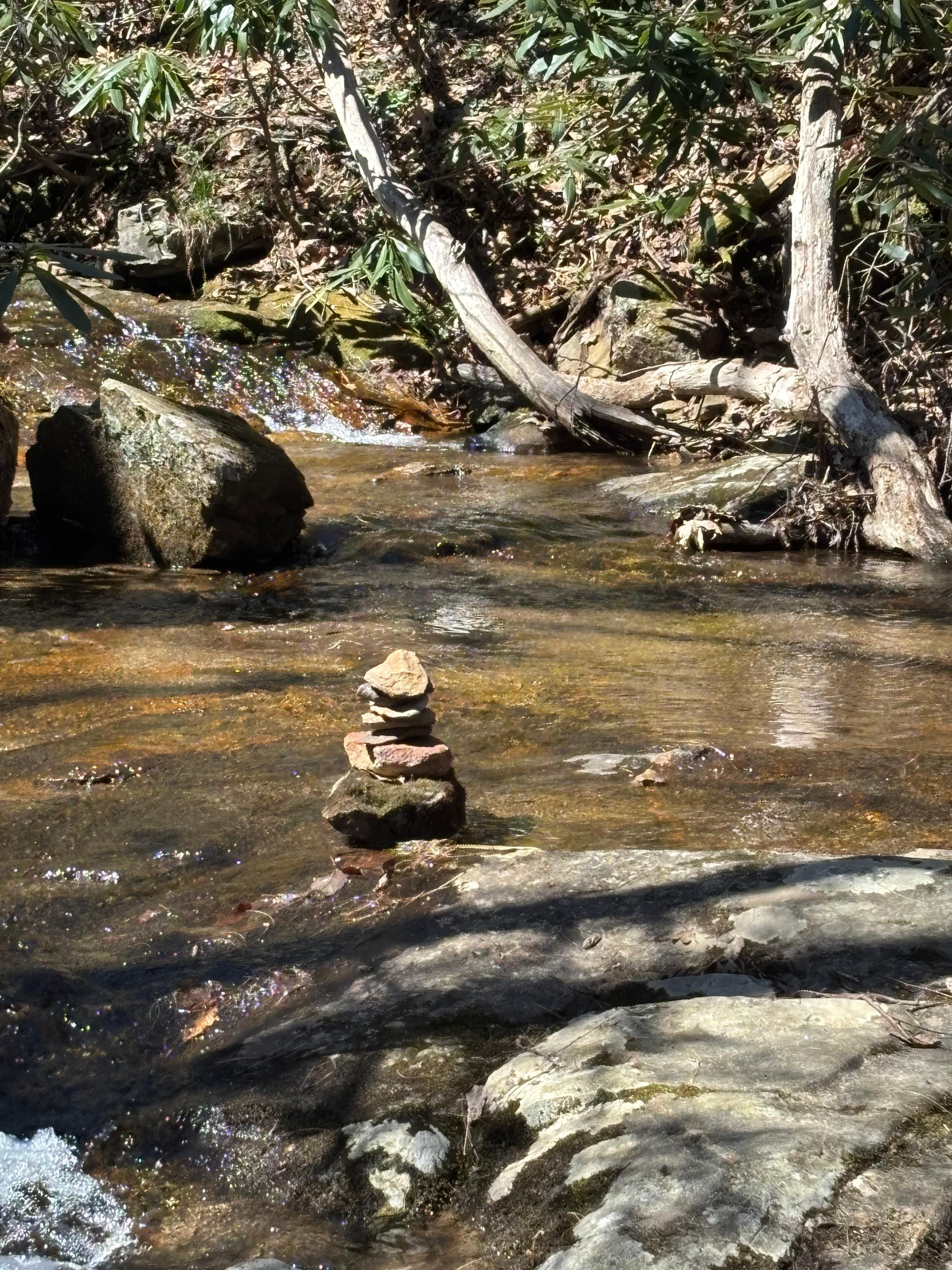 Hiking near Cascades Falls 