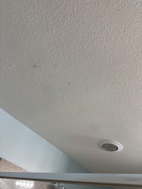 Not dust on ceiling, looks like mold.