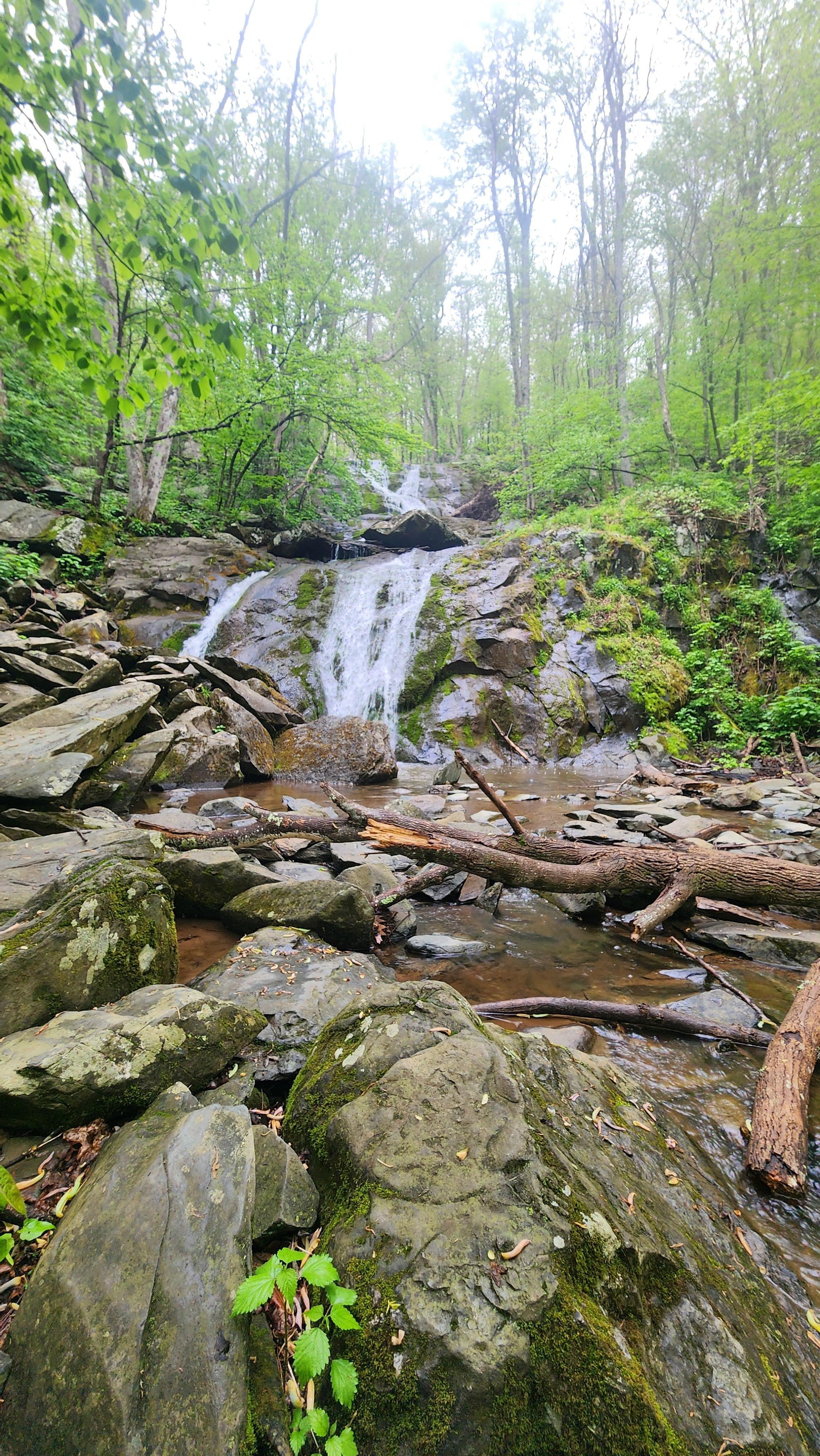 Shamokin trail