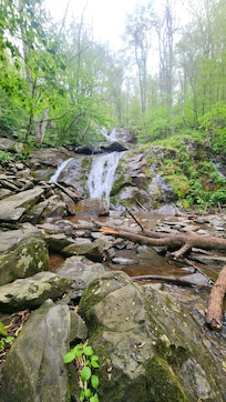 Shamokin trail
