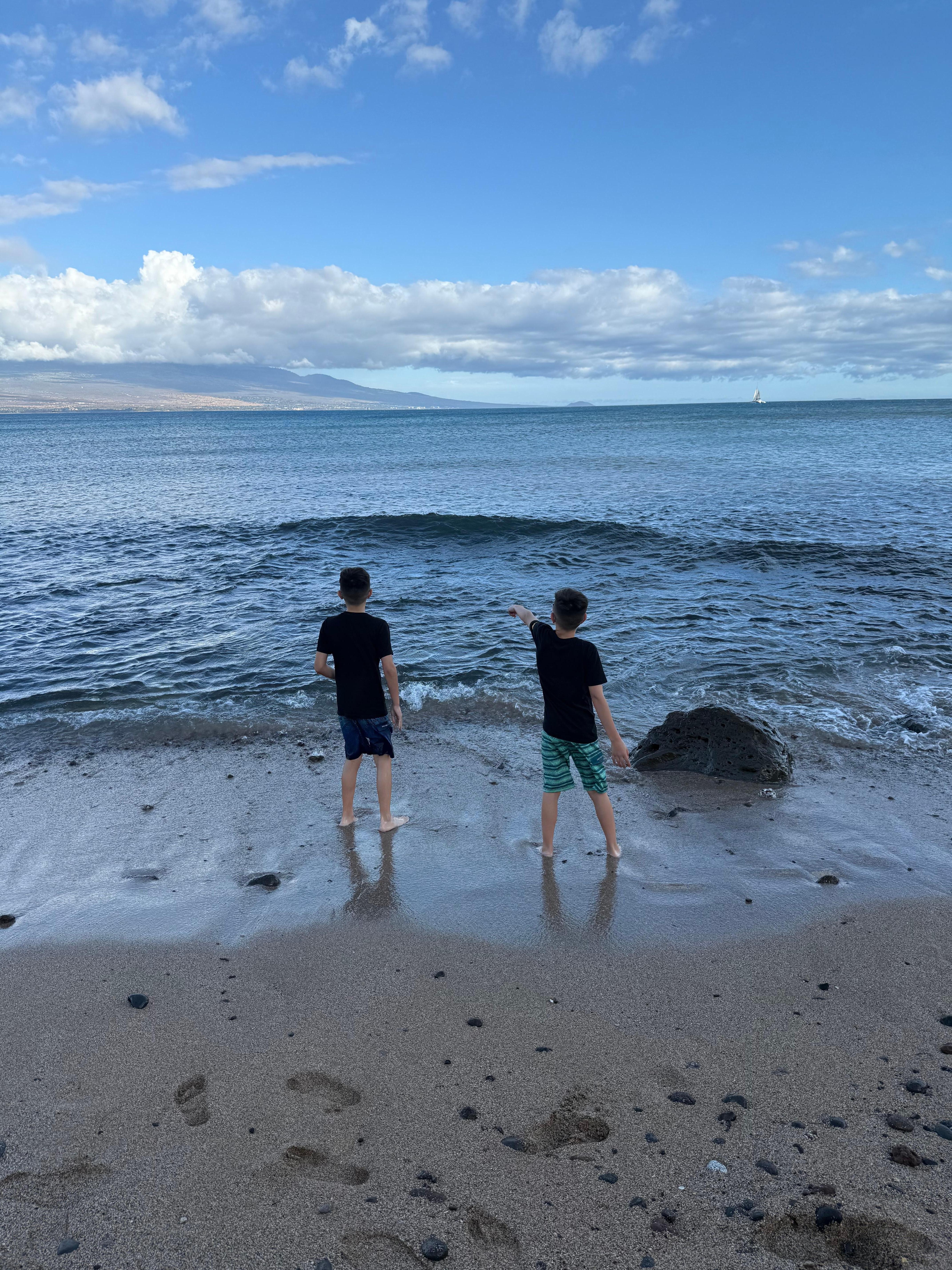 Looking at the turtles on the bay right outside the property