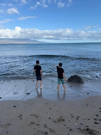 Looking at the turtles on the bay right outside the property