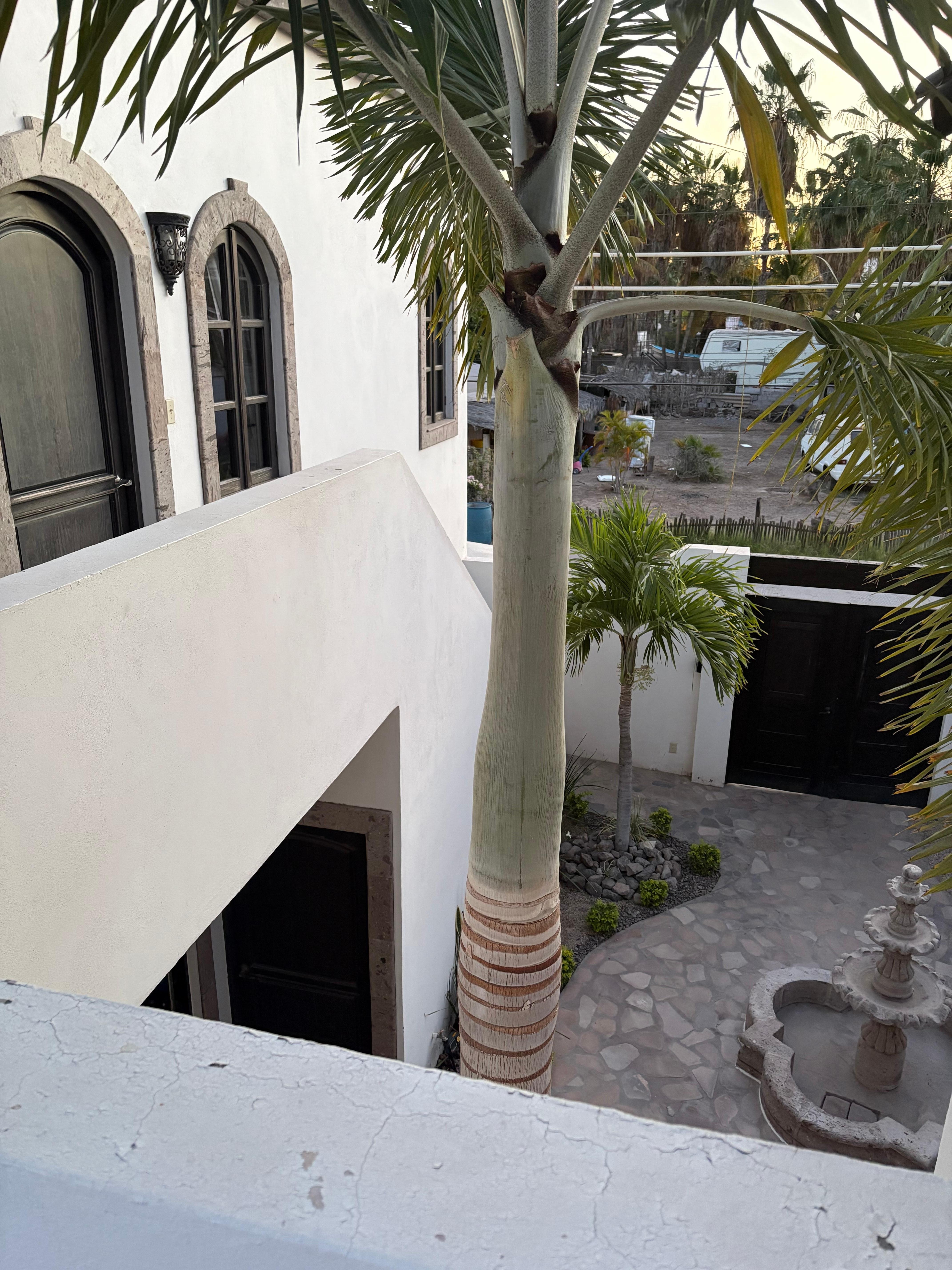 Door to casita and locked main gate to property. 