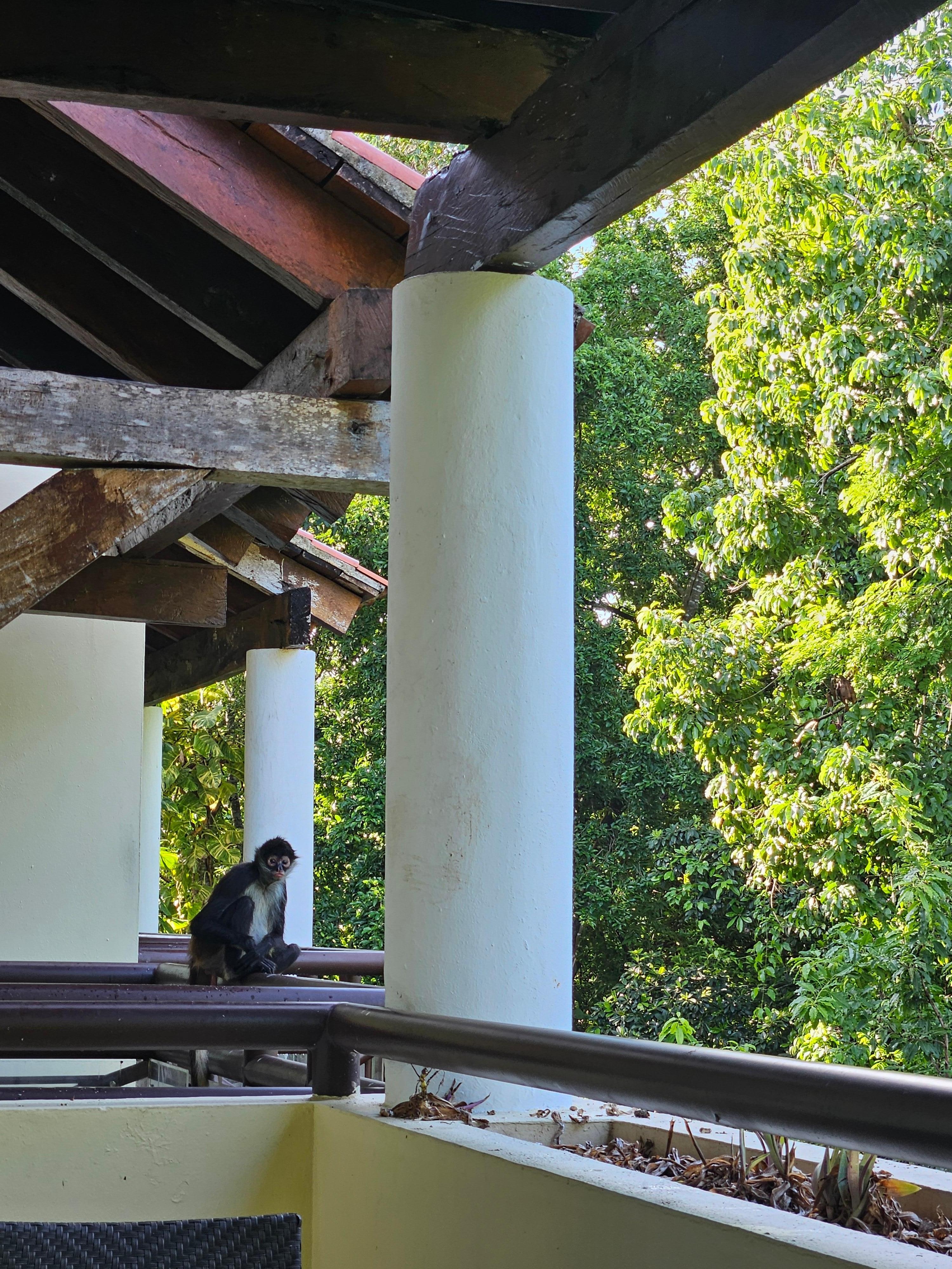 Little visitors come to say hi 😊