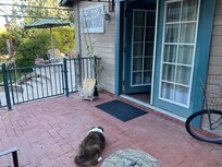 Pet friendly and safe surroundings!