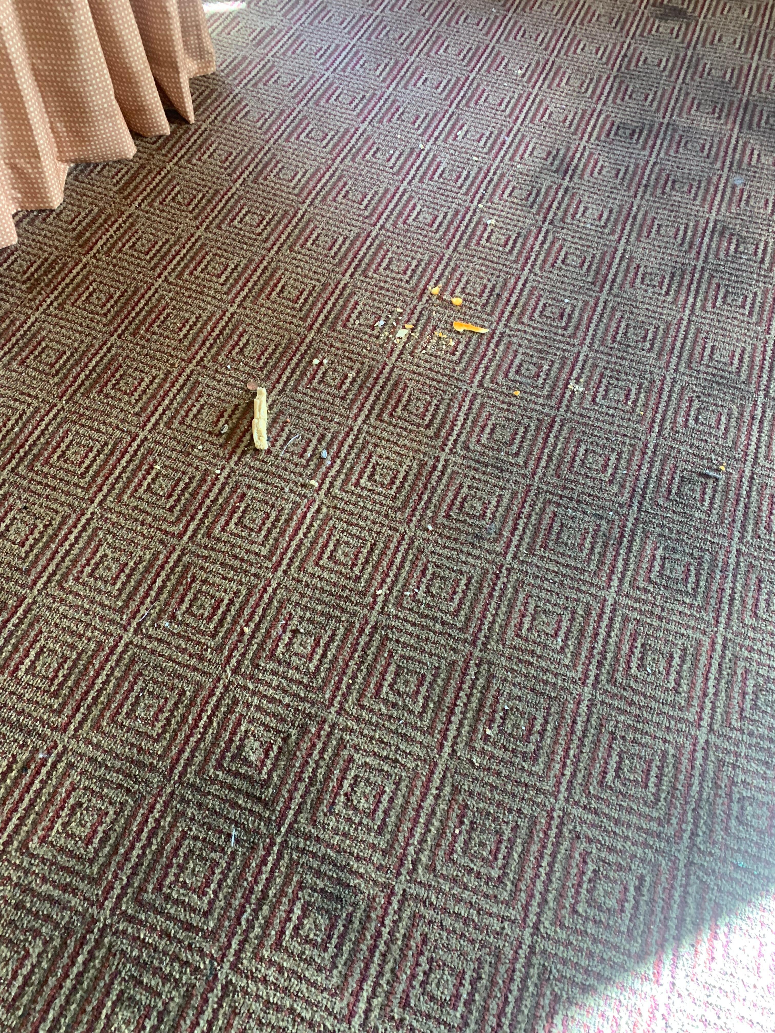 Manchas en la alfombra