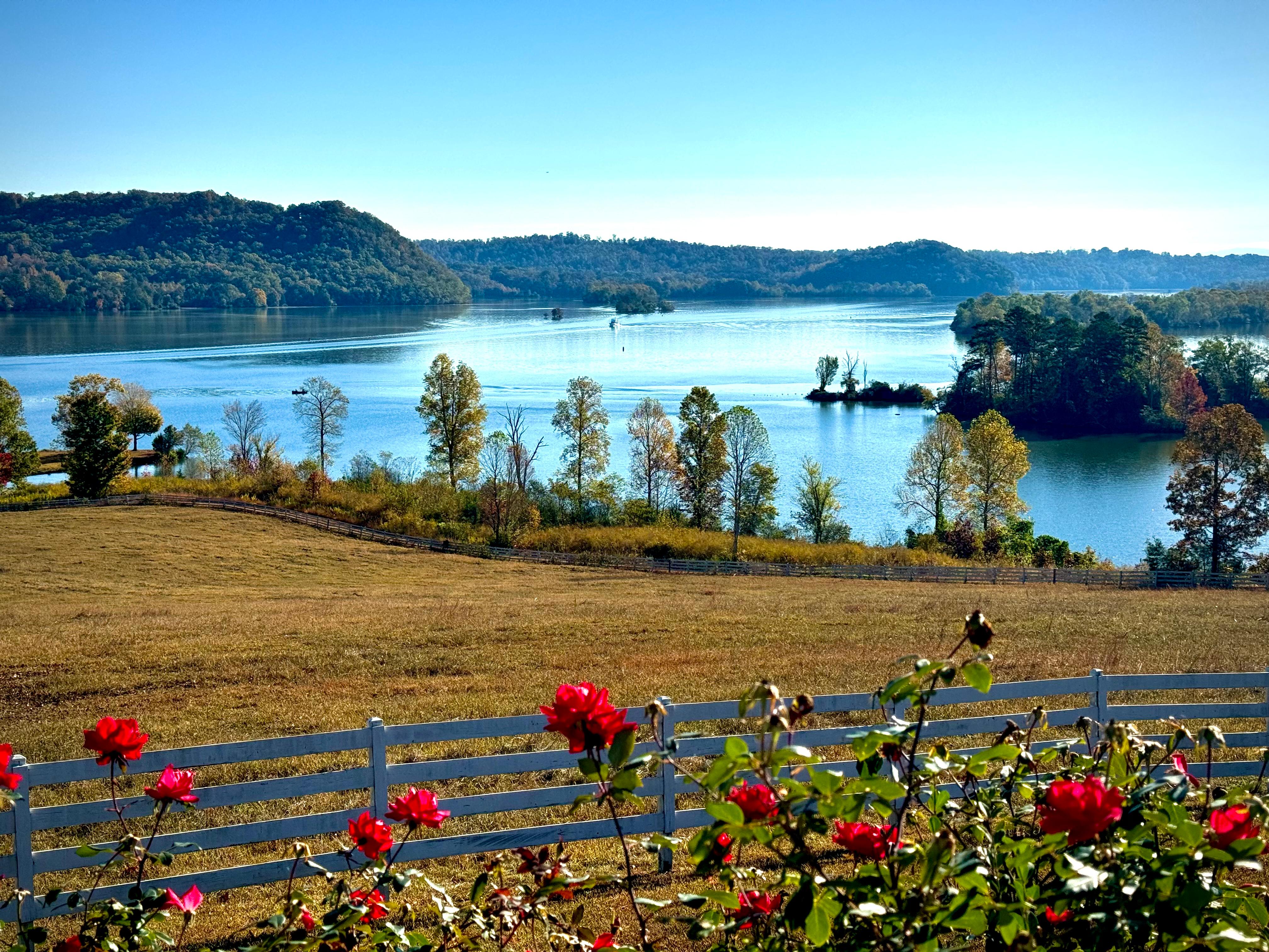 Picturesque views of the lake. 