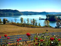 Picturesque views of the lake.