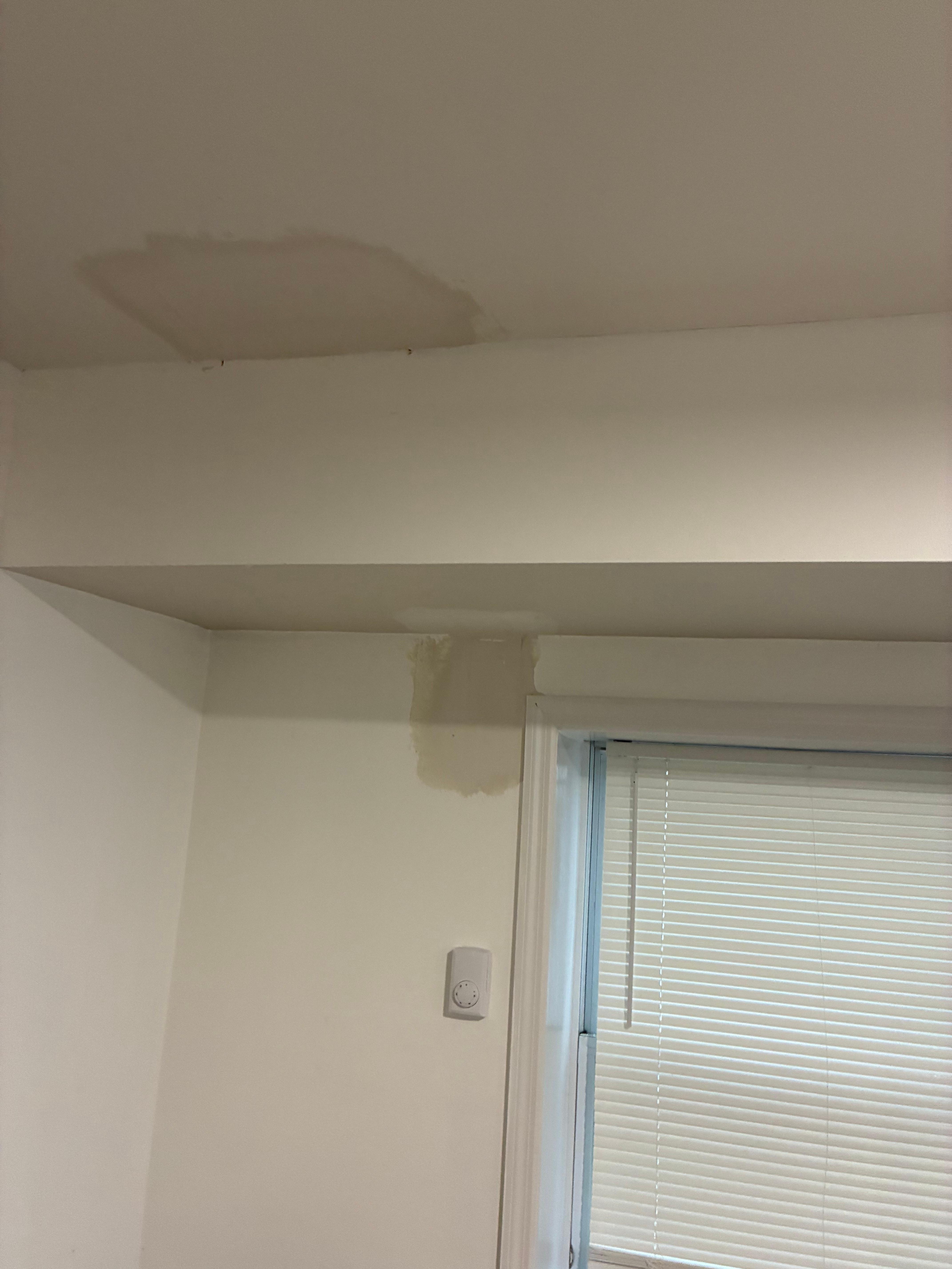 Patched unpainted ceiling