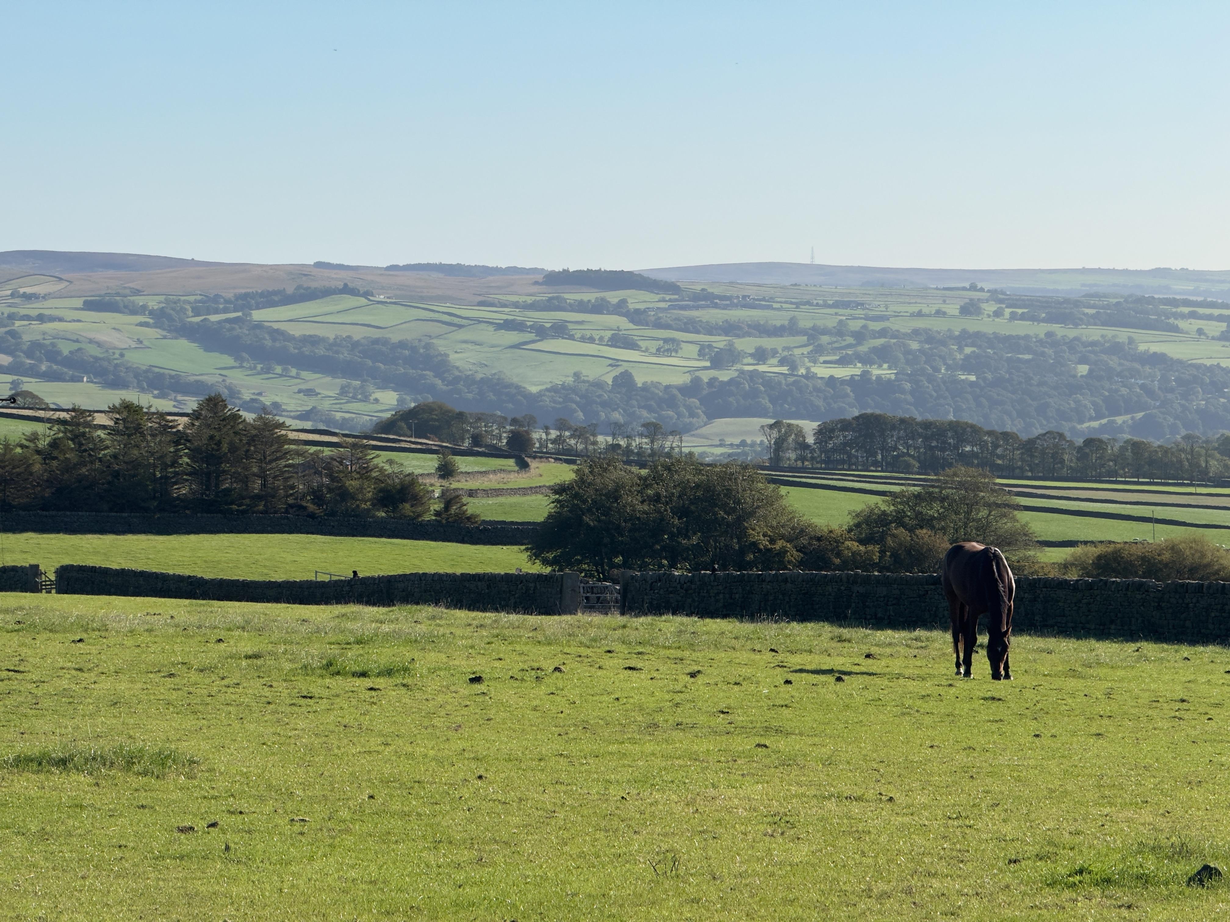 This is the view - incredible!