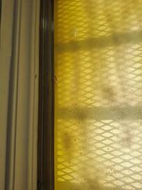 Remnant of incense used to help the snell