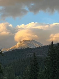 View from deck