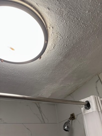 Cockroaches