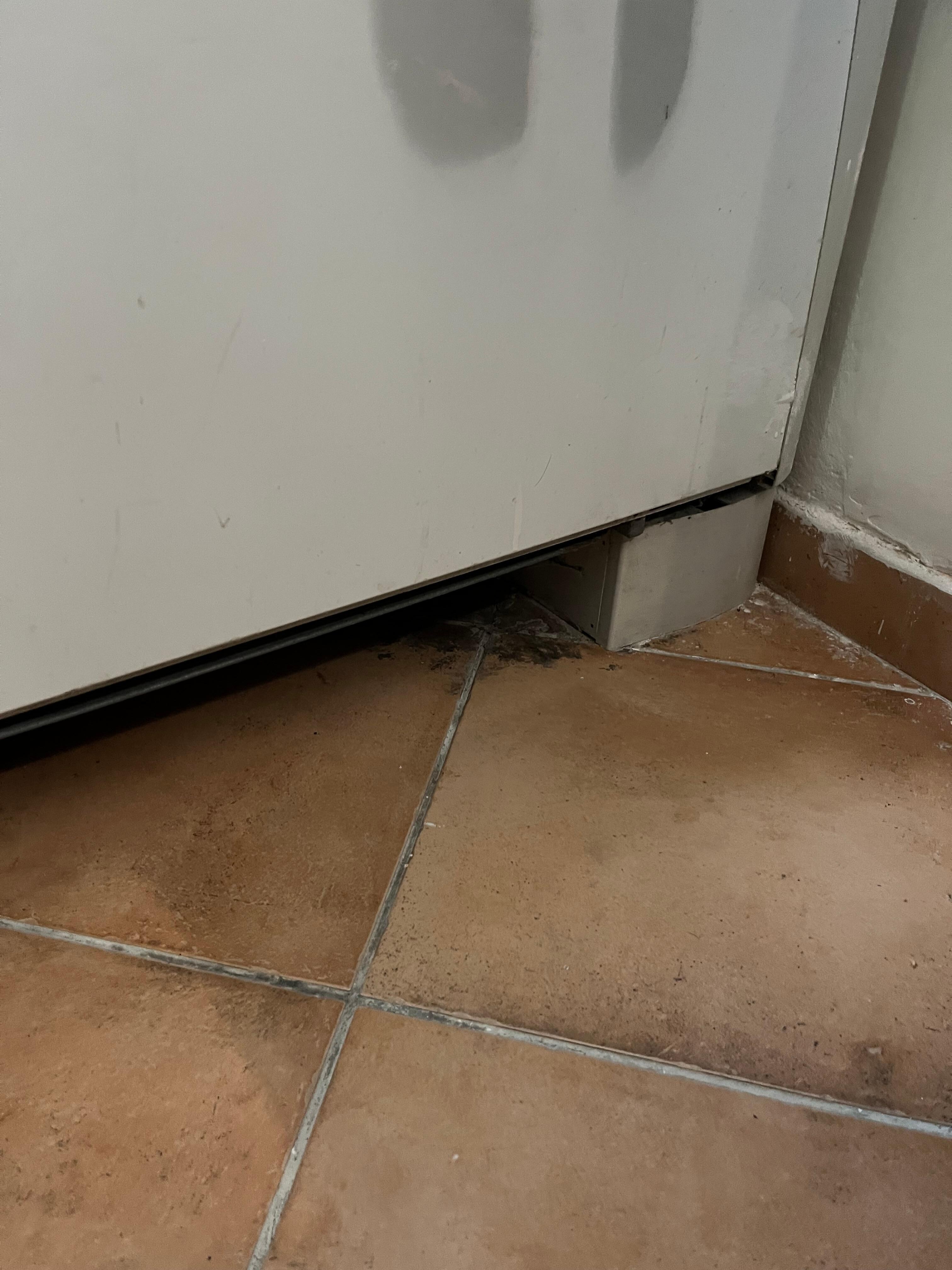 The floor under the radiator was very dirty.