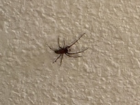 Bed room wall