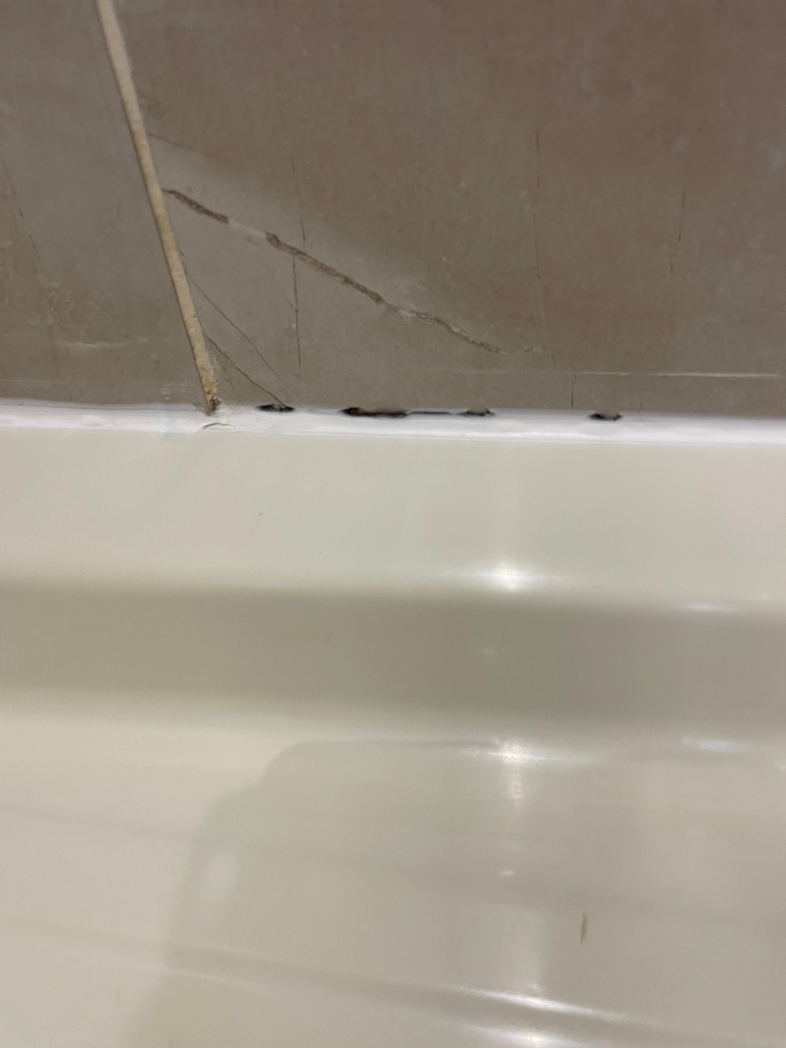 Black mold in shower