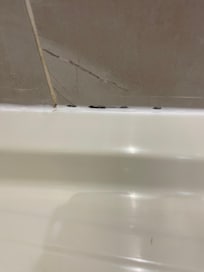 Black mold in shower