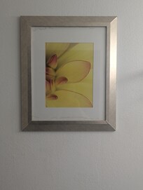 Water damage obvious in bathroom art