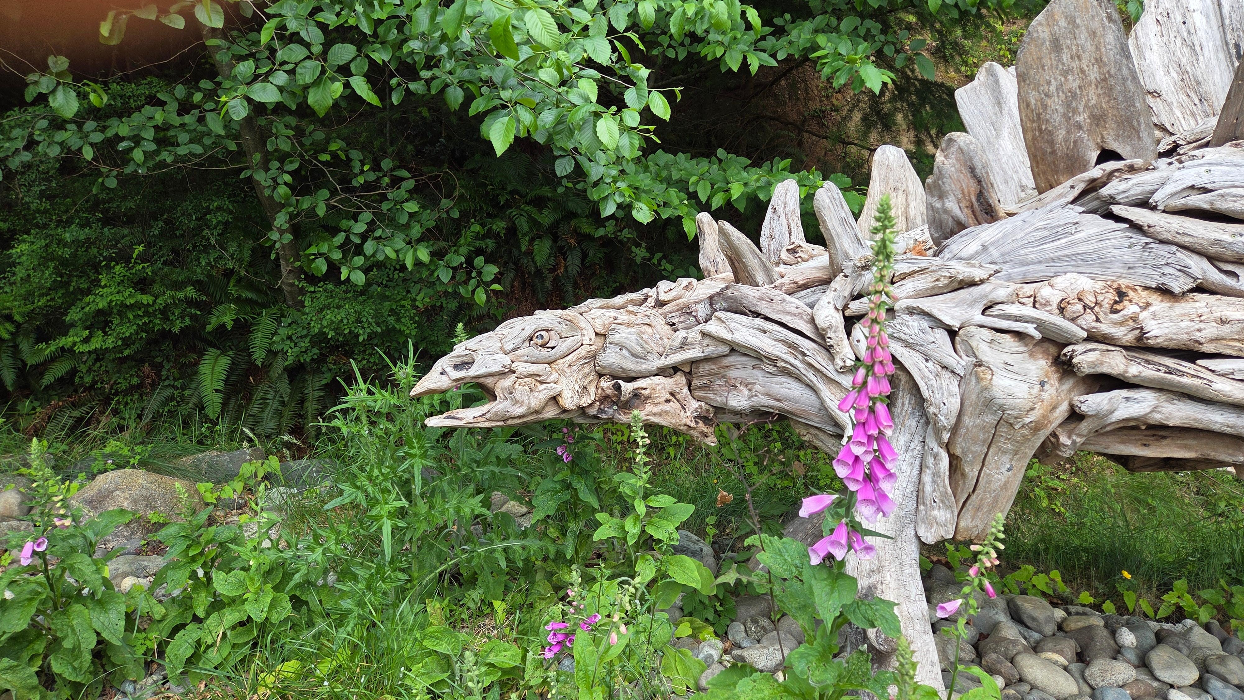 Driftwood scuptures in garden