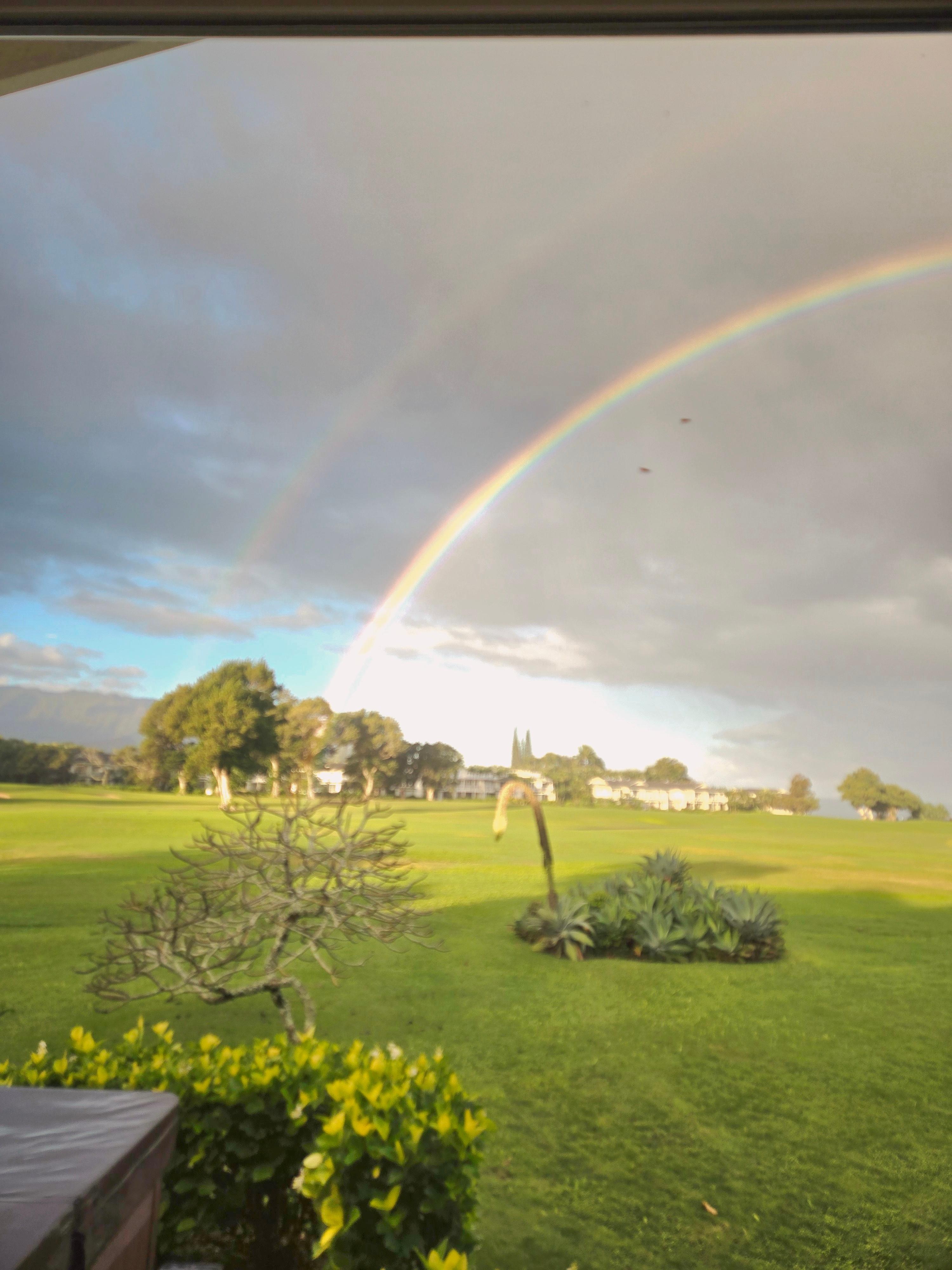 Taken out the living room sliders 