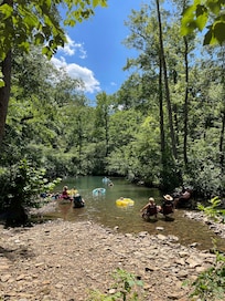 Swimming hole we visited in the national forest while riding.