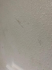 Disgusting wall in bathroom