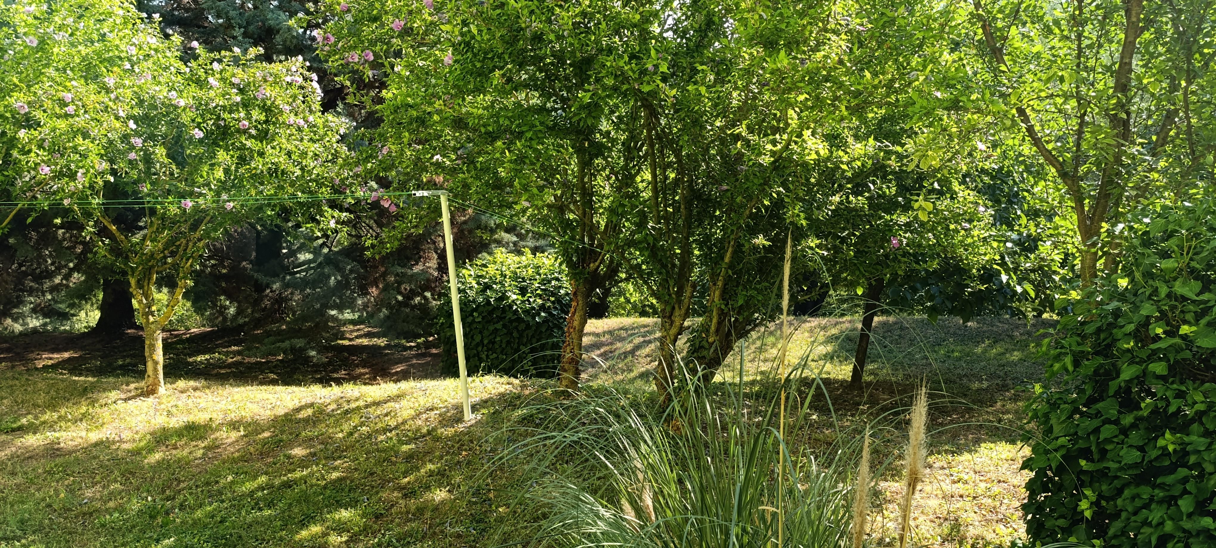 Aprendo la finestra della camera vedevi questo spettacolo di verde