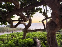 One block to the beach.