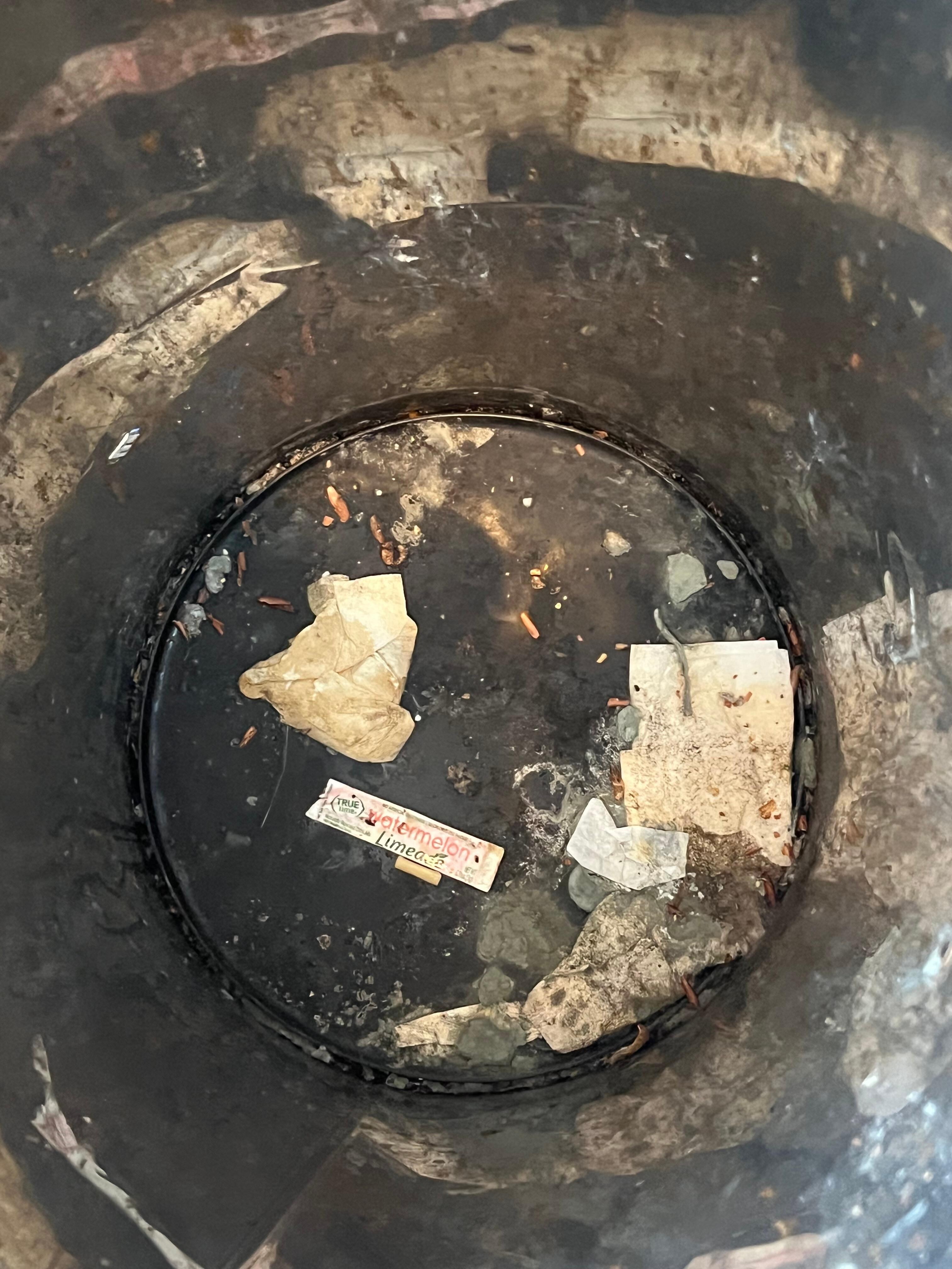 Green mold in the bottom of the trash can when we got there