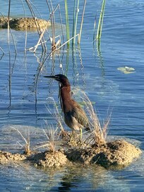 La naturaleza es lo más bonito de este lugar.