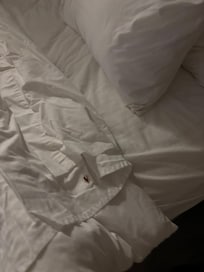 Cockroach on the bed