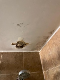 Mold