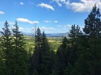 View from the deck!