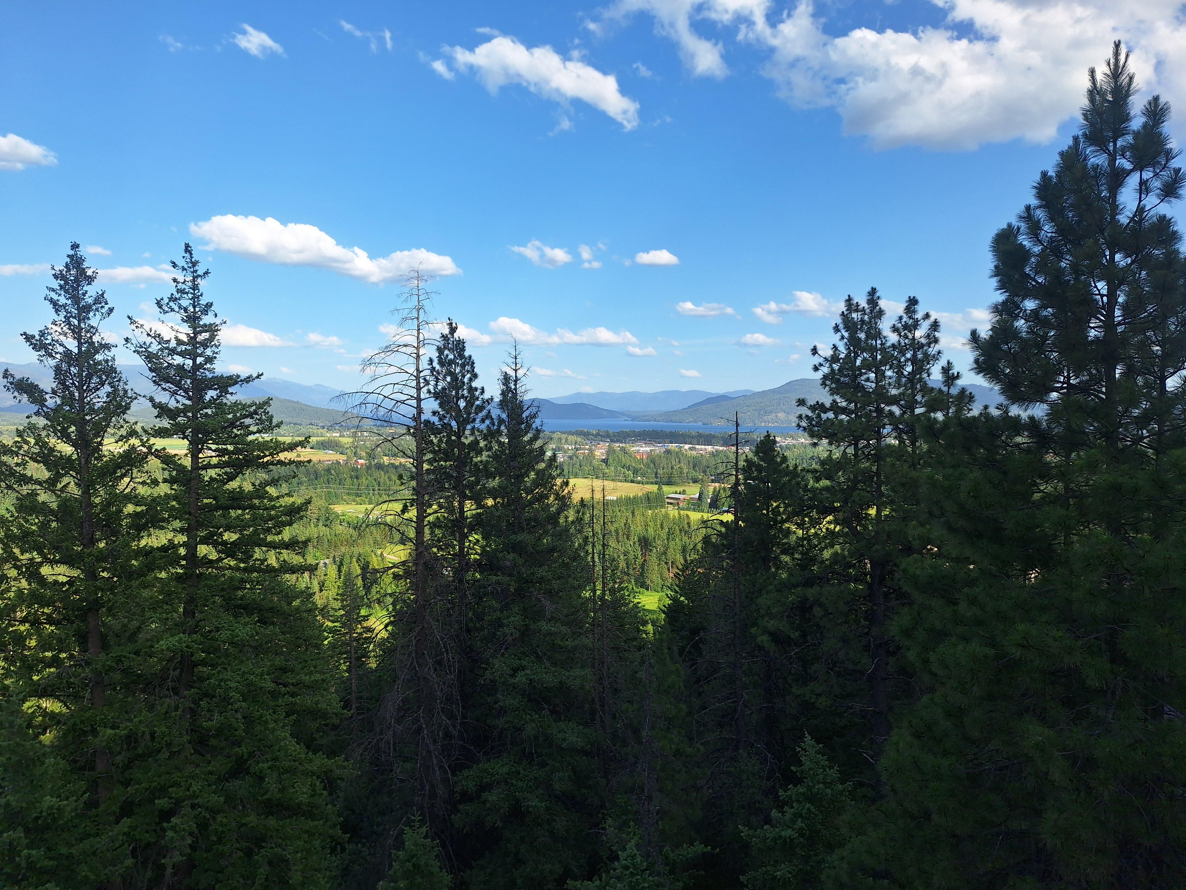 View from the deck!