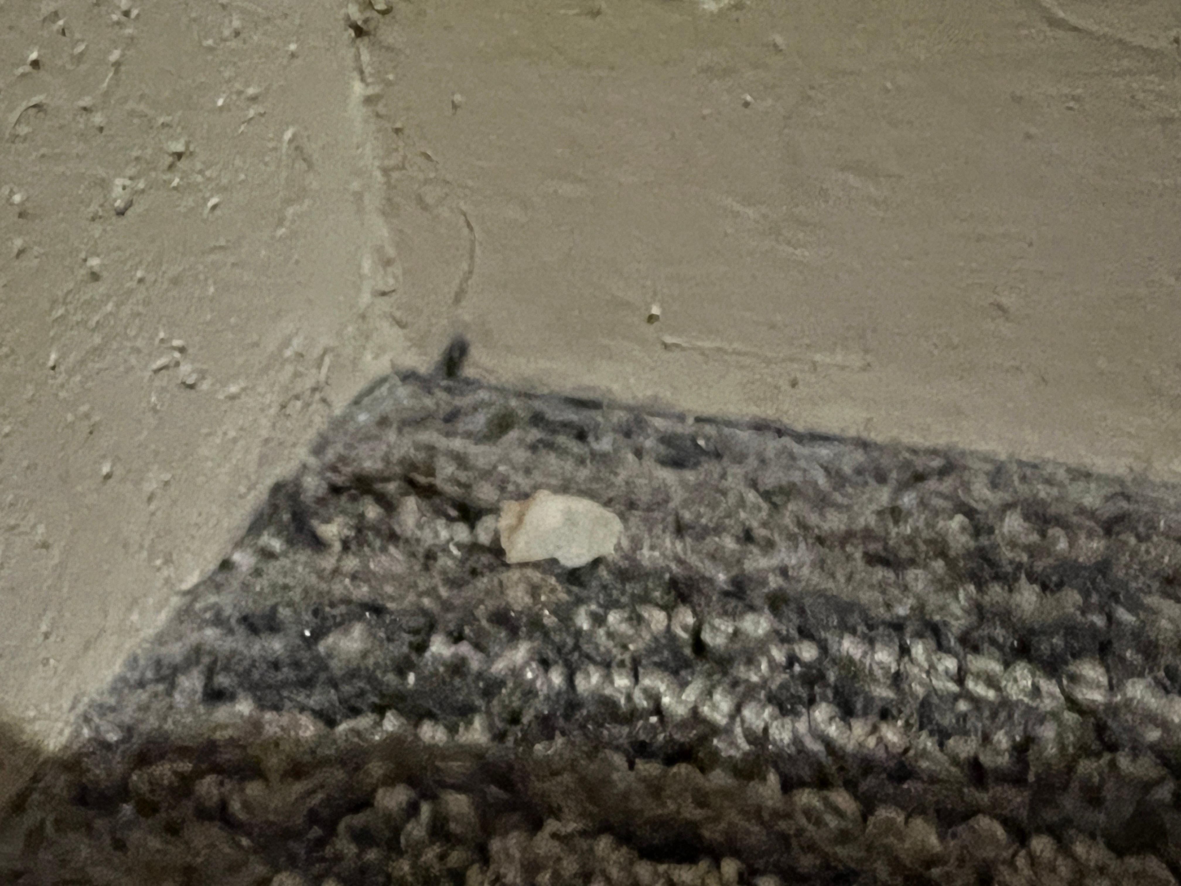 Flake of foot skin in the corner, after I was told the room had been vacuumed.