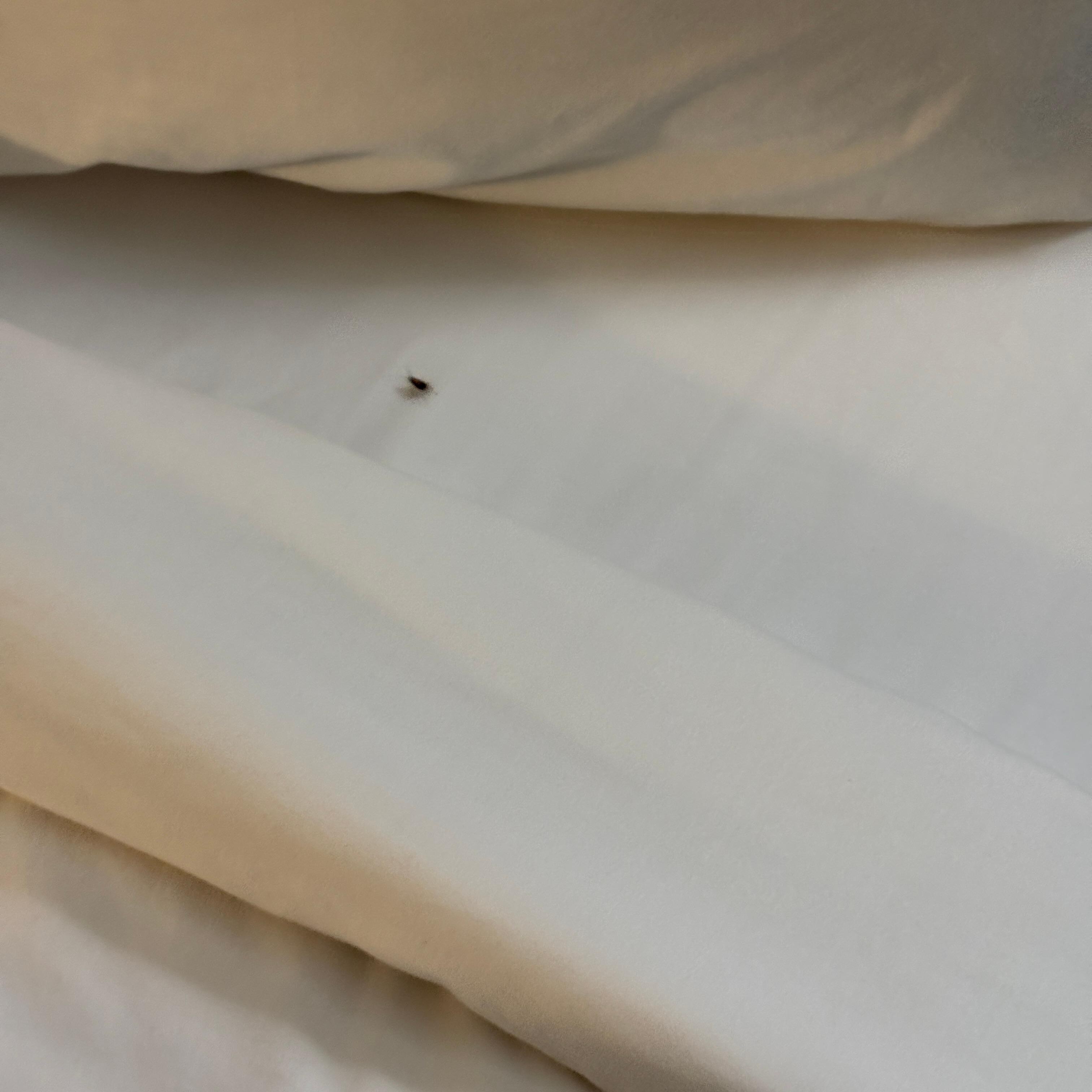 Your friend in bed