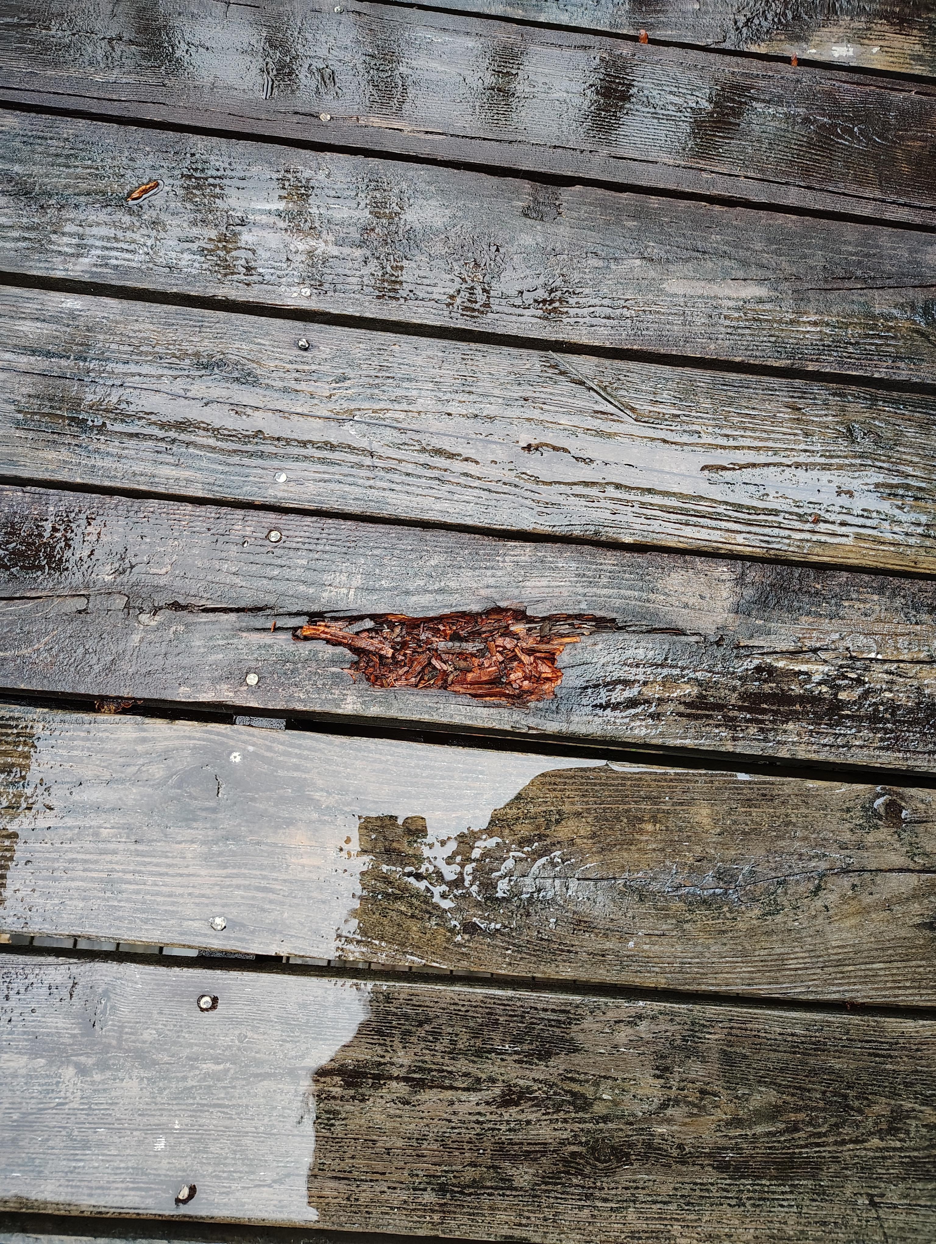 Rotted boards upstairs deck 