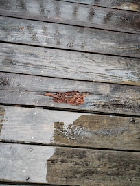Rotted boards upstairs deck