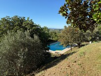 The pool from the lawn