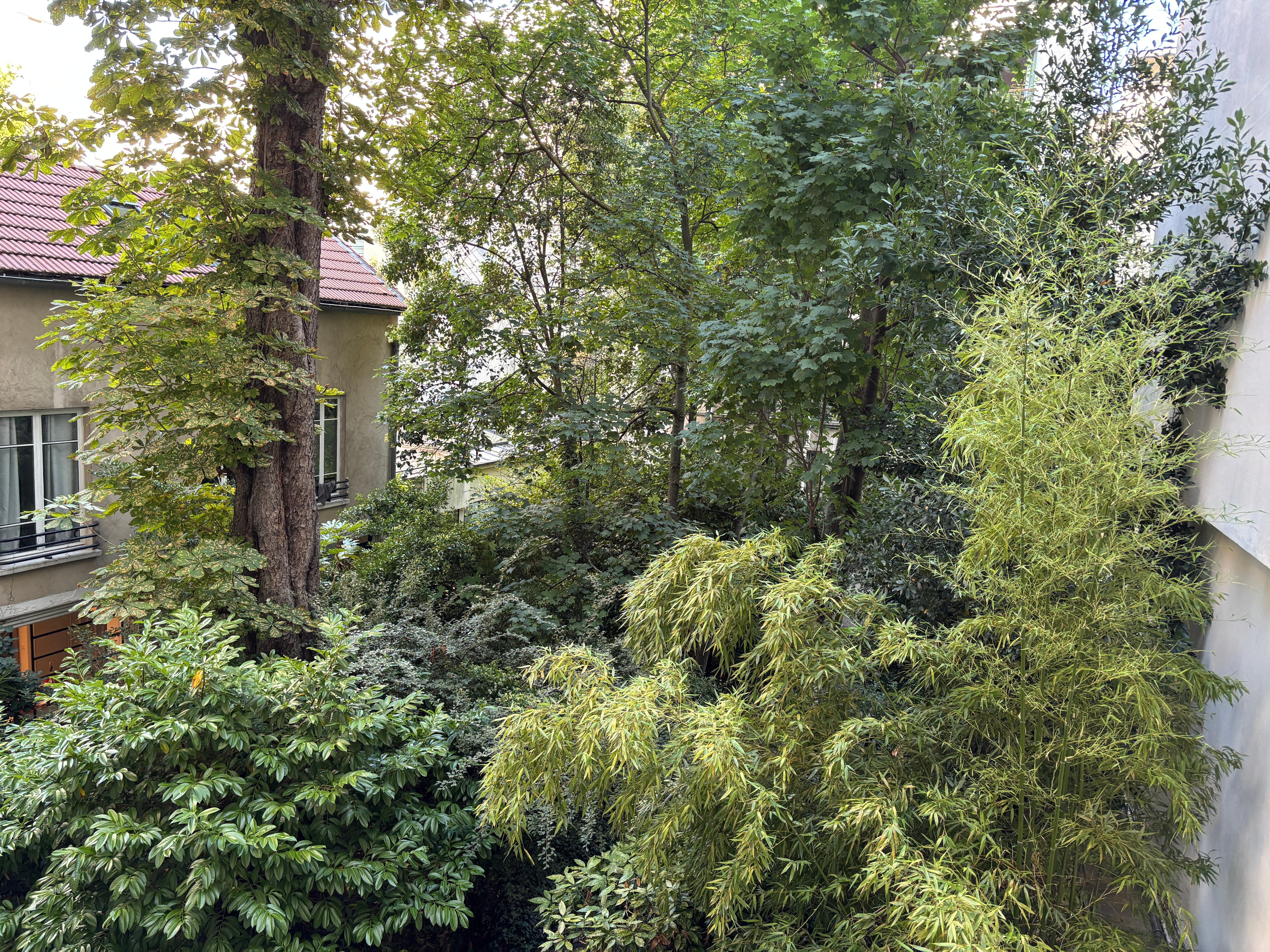 Lovely view of courtyard from the bedroom. 